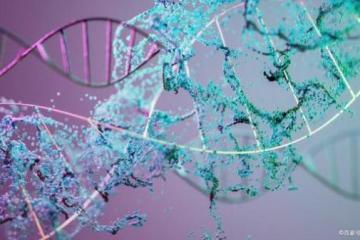 新纳米颗粒可在肺部进行基因编辑